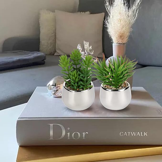 Artificial Silver Pot Plant / نبات وعاء الفضة الاصطناعي